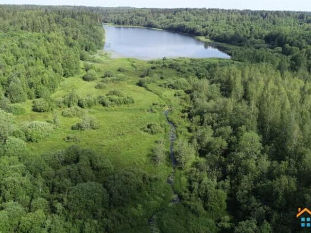 Дом продажа в Новгородская область