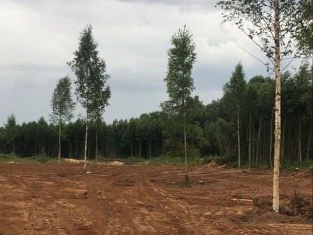 Дом продажа в Белая Гора Д, Новгородская область