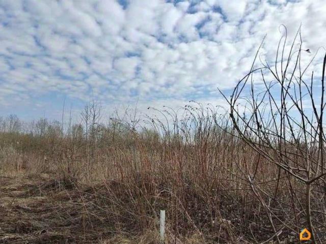 Дом продажа в Ярославская область