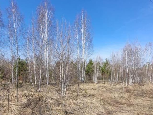 Дом продажа в Курганская область