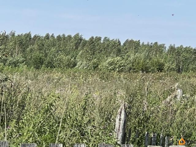 Дом продажа в Свердловская область