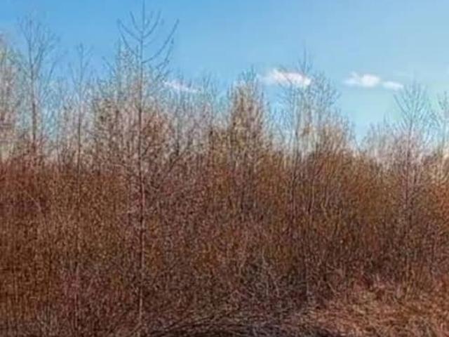 Дом продажа в Новгородская область