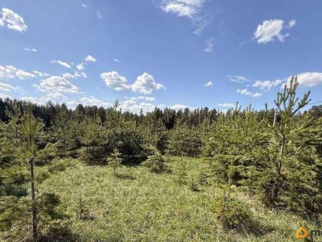 Дом продажа в Кировская область
