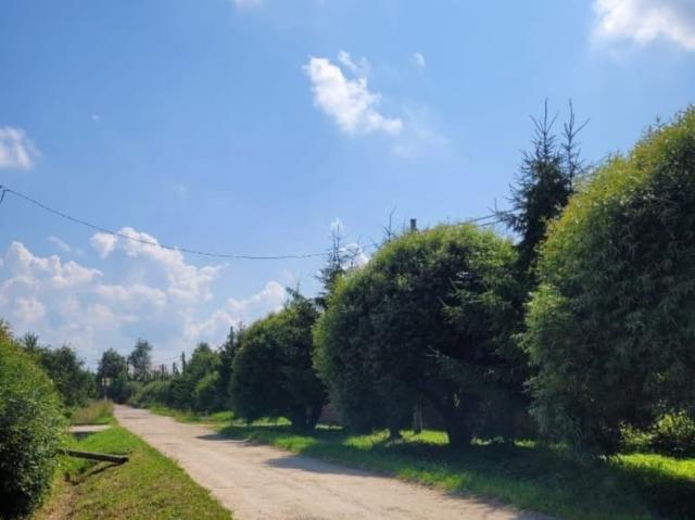 Дом продажа в Большое Верево, Ленинградская область
