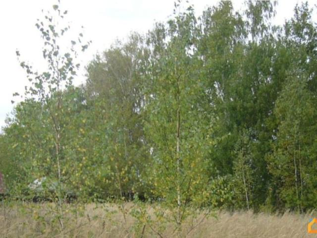 Дом продажа в борисково, Калужская Обл