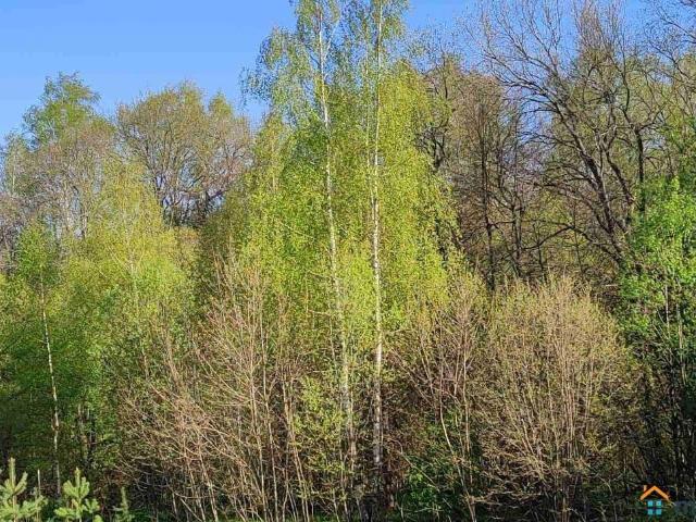 Дом продажа в Владимирская область