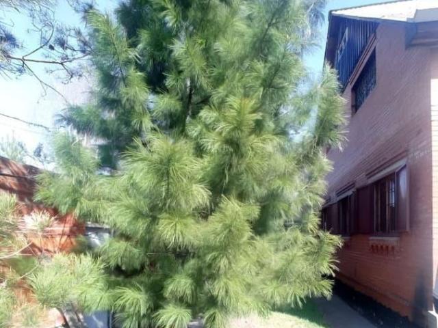 Дом продажа в Элитовский, Красноярский Край