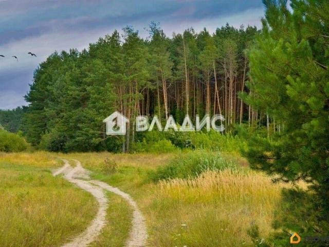 Дом продажа в Владимирская область