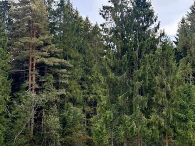 Дом продажа в Кабардино-Балкарская Республика