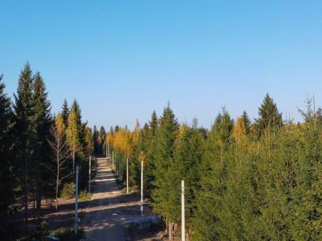 Дом продажа в Черемыкино, Ленинградская область