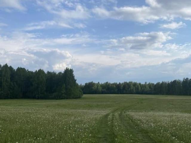 Дом продажа в Харнавы Д, Пермский Край