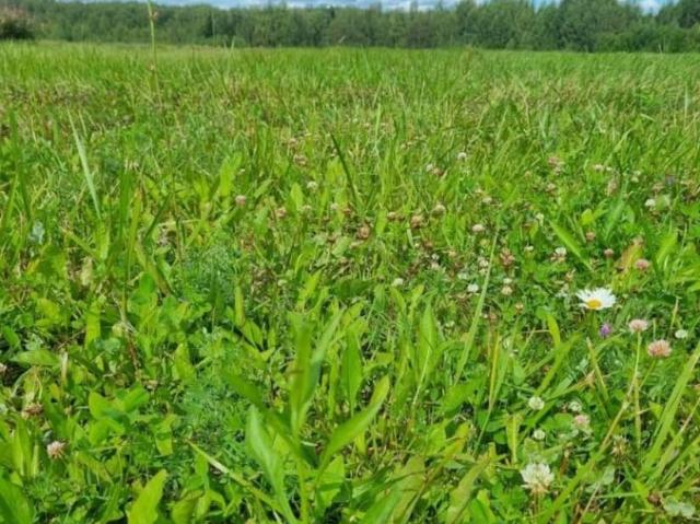Дом продажа в Озерный, Ивановская область