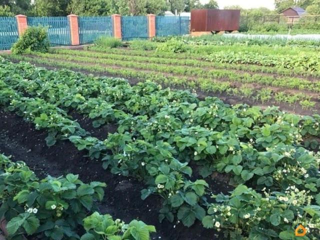 Дом продажа в Кабардино-Балкарская Республика