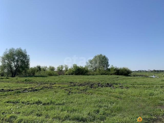 Дом продажа в Воронежская область