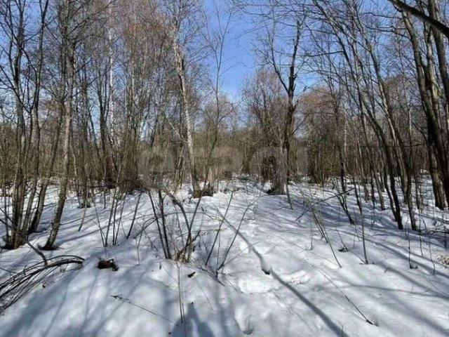 Дом продажа в Костромская область