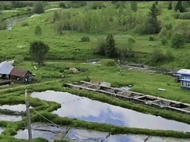 Дом продажа в Шкарята Д, Пермский Край