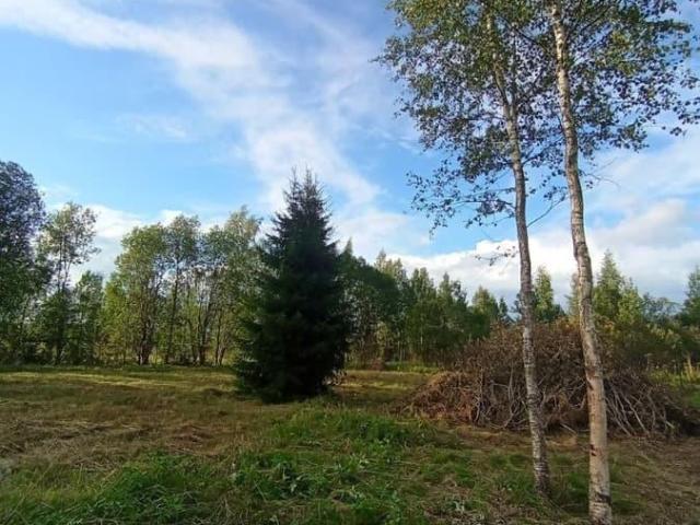Дом продажа в Ленинградская область