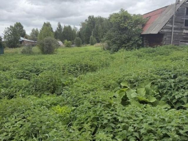 Дом продажа в Томская область