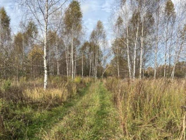 Дом продажа в Тыва Республика