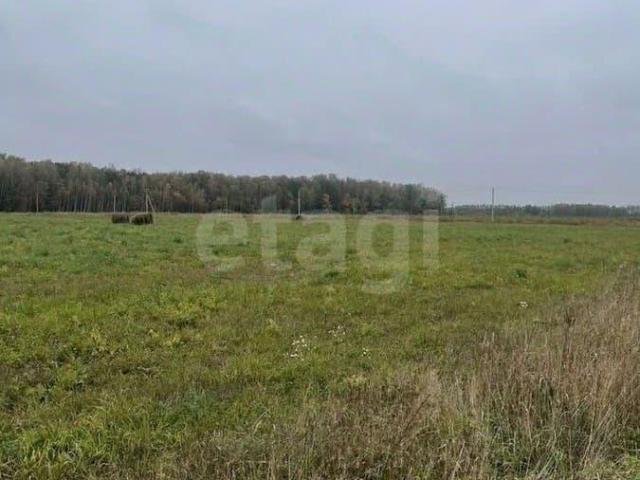 Дом продажа в Тульская область
