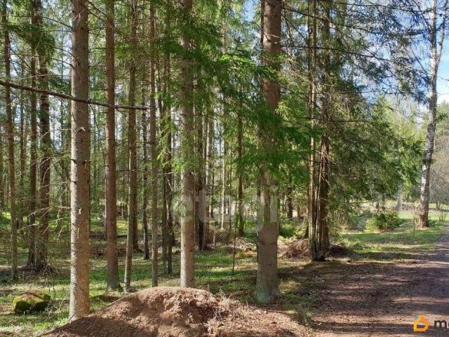 Дом продажа в Ленинградская область