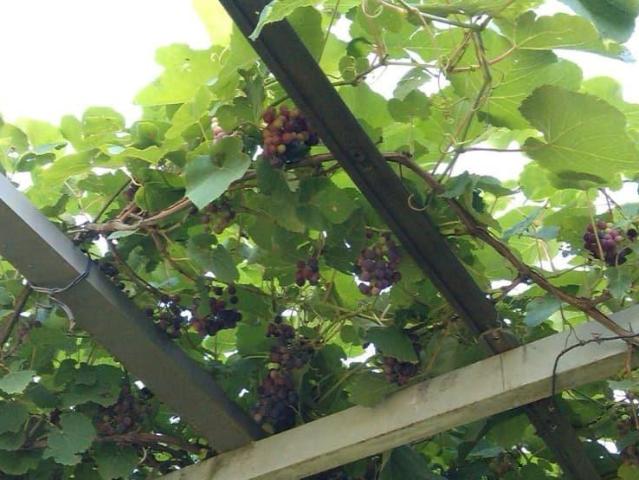 Дом продажа в В Районе Деревни Янино Массив, Ленинградская область
