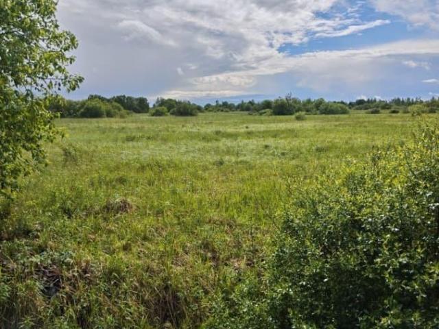 Дом продажа в Новгородская область
