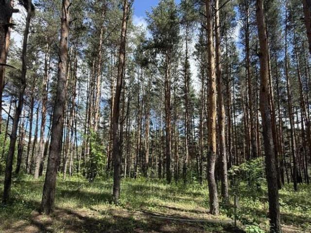 Дом продажа в Воронежская область