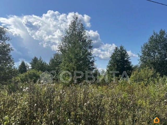 Дом продажа в Тюменская область