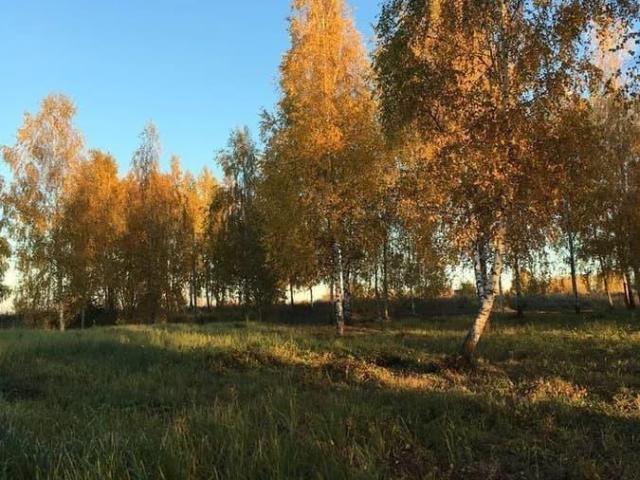 Дом продажа в Тульская область