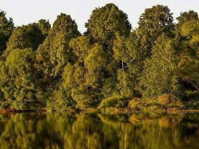 Дом продажа в Смоленская область