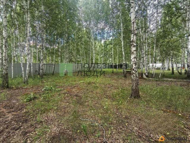 Дом продажа в Малиновка Д, Челябинская область
