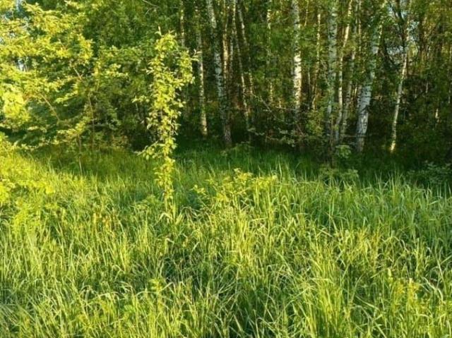 Дом продажа в Кабардино-Балкарская Республика