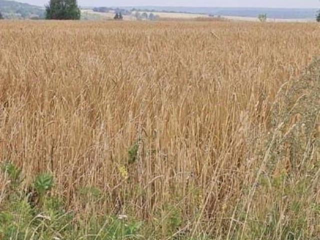 Дом продажа в Чувашская Республика - Чувашия