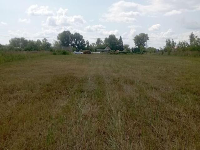 Дом продажа в Марий Эл Республика