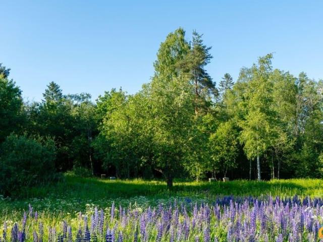Дом продажа в Матокса-катумы Массив, Ленинградская область