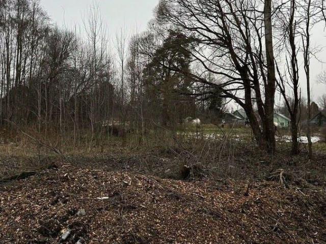 Дом продажа в Ленинградская область