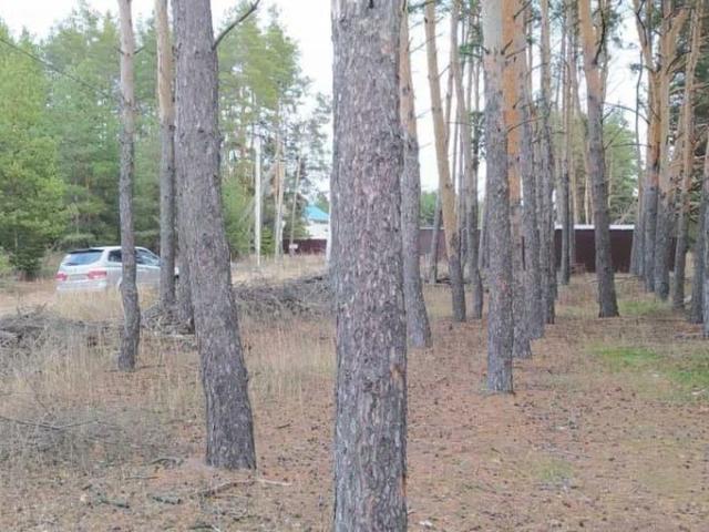 Дом продажа в Воронежская область