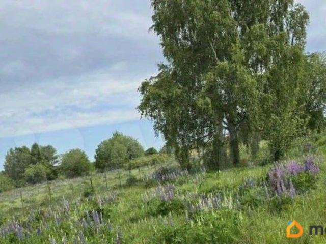 Дом продажа в Владимирская область