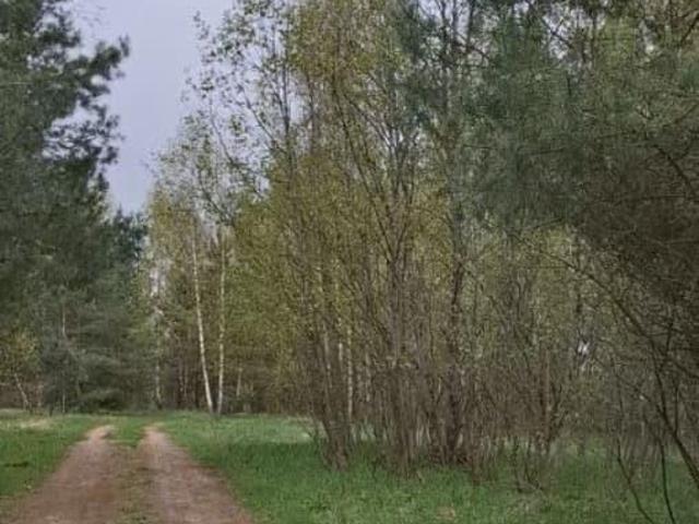 Дом продажа в Ярославская область