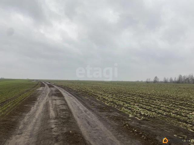 Дом продажа в Брянская область
