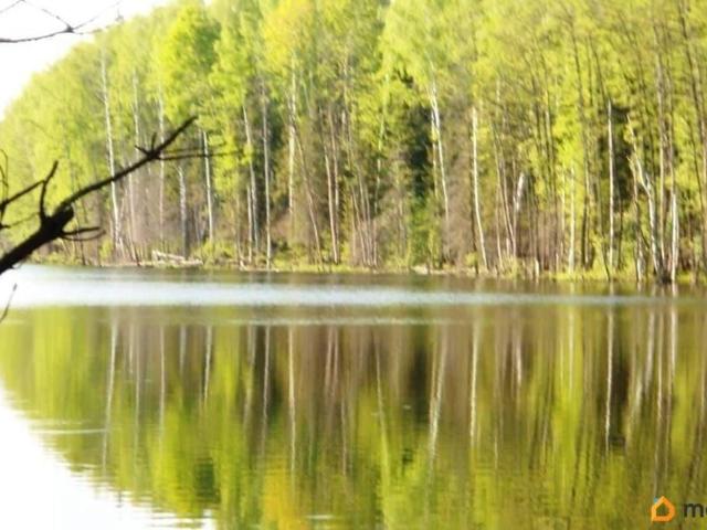 Дом продажа в Владимирская область