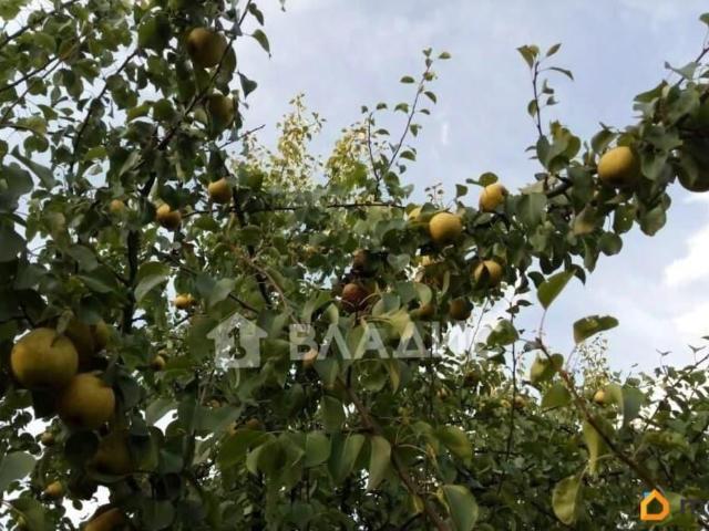 Дом продажа в Владимирская область