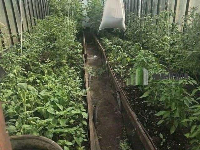 Дом продажа в Ермолинское, Новгородская область