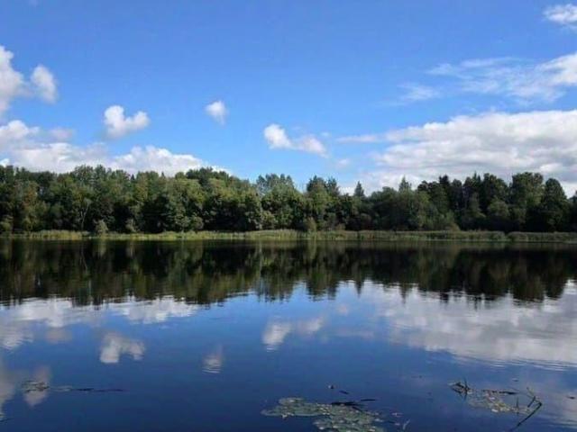 Дом продажа в Ленинградская область