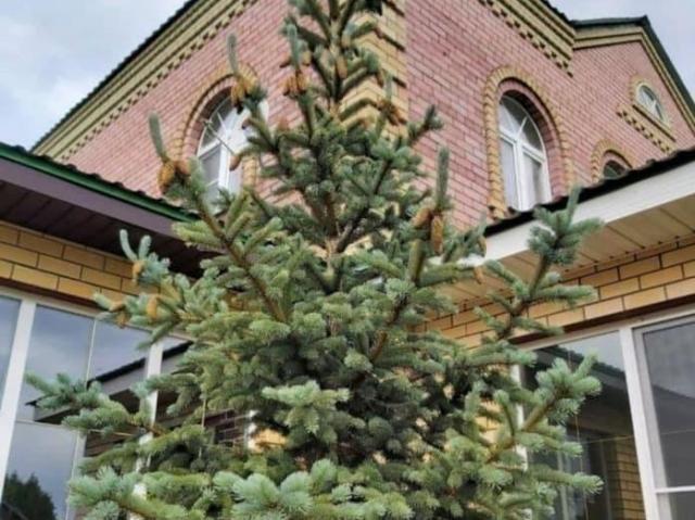 Дом продажа в Ярославская область