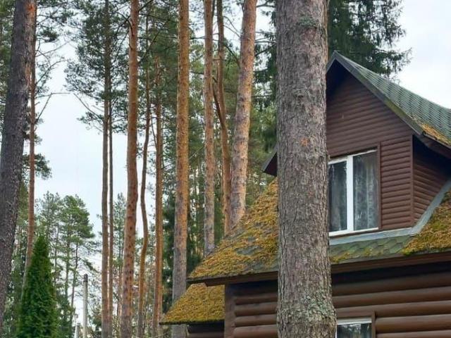 Дом продажа в Ленинградская область