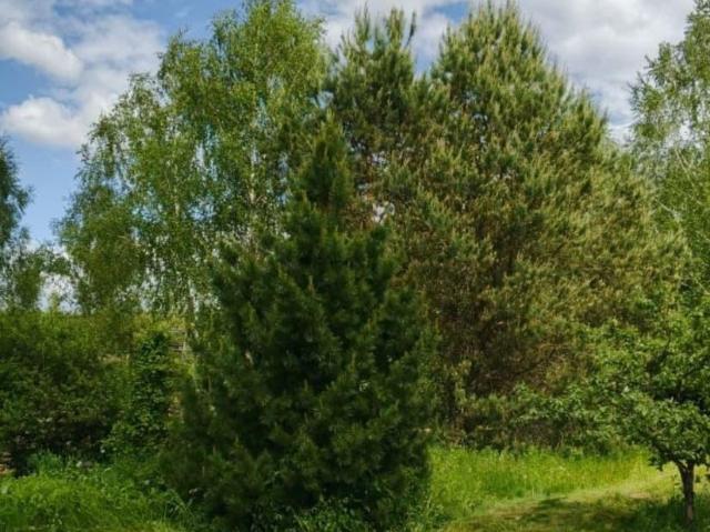 Дом продажа в Нововолково, Кабардино-Балкарская Республика