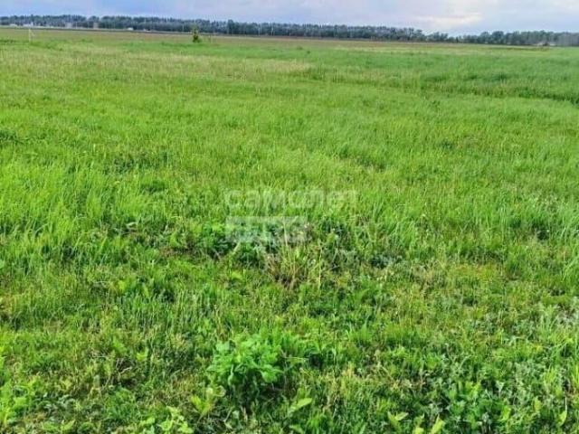 Дом продажа в Шоя-кузнецово Д, Марий Эл Республика