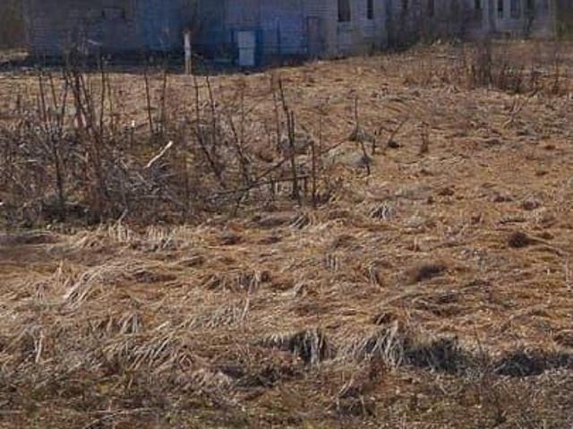 Дом продажа в Тверская область